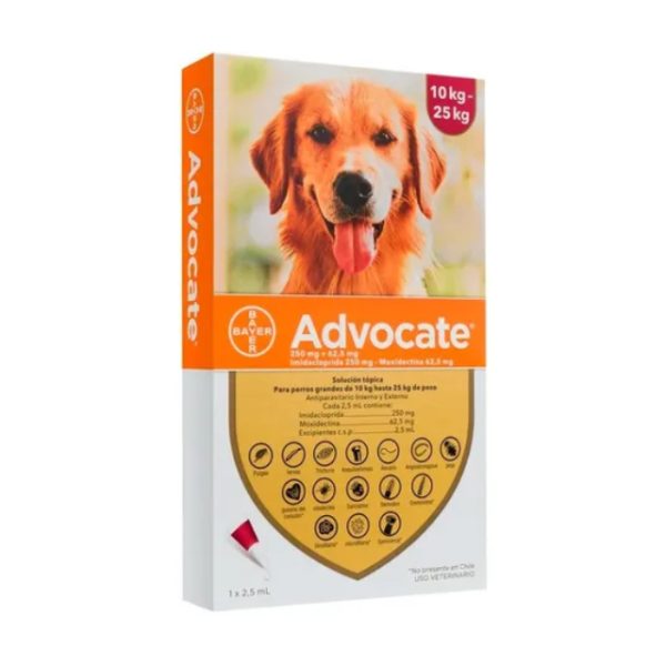 Advocate_gato_hasta_4_28129.jpg