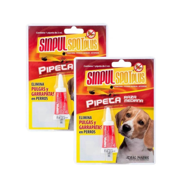 DiseC3B1o_sin_tC3ADtulo_28102920230915-5038-3vuh0g.png